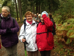 Fontainebleau - Octobre 2015