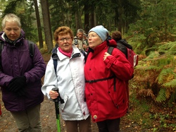 Fontainebleau - Octobre 2015