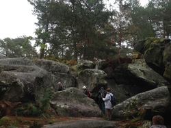 Fontainebleau - Octobre 2015