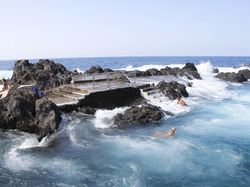 Les CANARIES du 28/09 au 05/10/2023