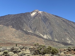 Les CANARIES du 28/09 au 05/10/2023