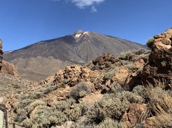 Les CANARIES du 28/09 au 05/10/2023