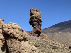 Les CANARIES du 28/09 au 05/10/2023