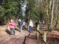 Les FAUX DE VERZY le 18 Mars 2023