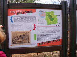 Les FAUX DE VERZY le 18 Mars 2023