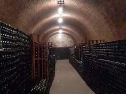 Les FAUX DE VERZY le 18 Mars 2023