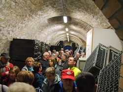 Les FAUX DE VERZY le 18 Mars 2023