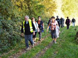 Rando Clermont du 31 Octobre 2015