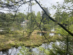 Séjour dans les Vosges en Mai 2023