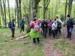 Séjour dans les Vosges en Mai 2023