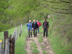 TERROU photos de JFD