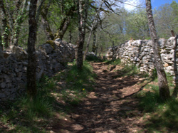 TERROU photos de JFD