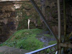 TERROU photos de JFD