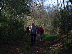 TERROU photos de JFD