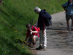 TERROU photos de JFD