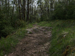 TERROU photos de JFD