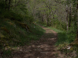 TERROU photos de JFD