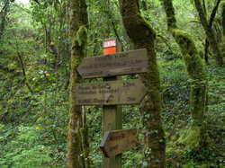 TERROU photos de JFD