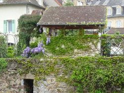 TERROU Photos de Christianne F