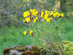 TERROU Photos de Christianne F