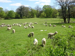 TERROU Photos de Christianne F