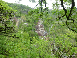 TERROU Photos de Christianne F