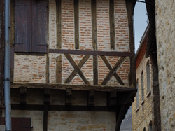 TERROU VU PAR DOMINIQUE