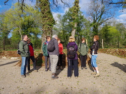 TERROU VU PAR DOMINIQUE