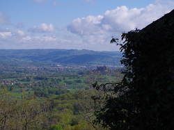 TERROU VU PAR DOMINIQUE