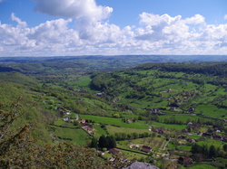 TERROU VU PAR DOMINIQUE