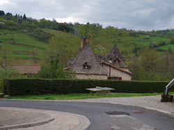 TERROU VU PAR DOMINIQUE