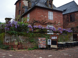 TERROU VU PAR DOMINIQUE