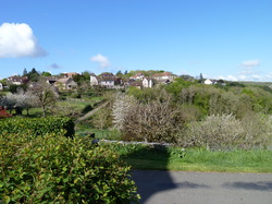 TERROU VU PAR DOMINIQUE