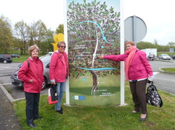 TERROU VU PAR DOMINIQUE